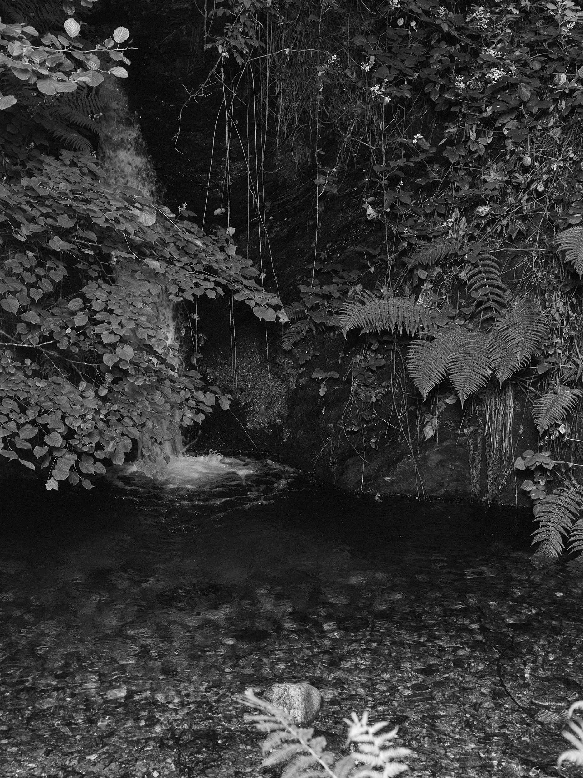 CAP74024_Motiv13_2074 Kopie